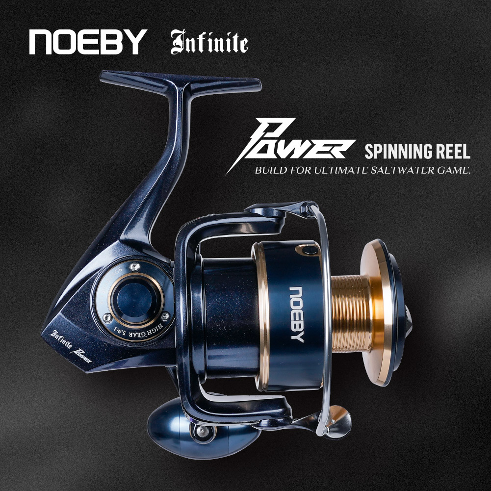 Noeby Infinite Power Spinhenge - Daiwa Reel Bg recensie en prijs